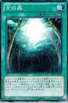 遊戯王　デュエリストエディション Amazon.co.jp: 遊戯王ゼアル OCG デュエリスト エディション